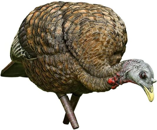 AVIAN-X LCD Feeder Hen Turkey Decoy | Durable Realistic Lifelike Collapsible Standing Hunting Decoy with Carry Bag & Stake, AVX8007