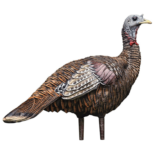 Avian X LCD Lookout Hen Lifelike Collapsible Turkey Gobbler Hunting Decoy w/ Carbon Stake, Carry Bag, & Storage Compression Strap