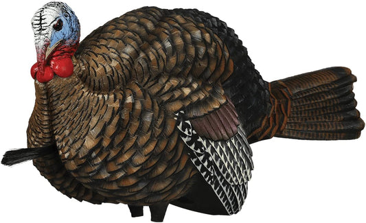 Avian-X LCD Half-Strut Jake Turkey Decoy | Durable Realistic Lifelike Collapsible Standing Hunting Decoy with Carry Bag & Stake, AVX8012