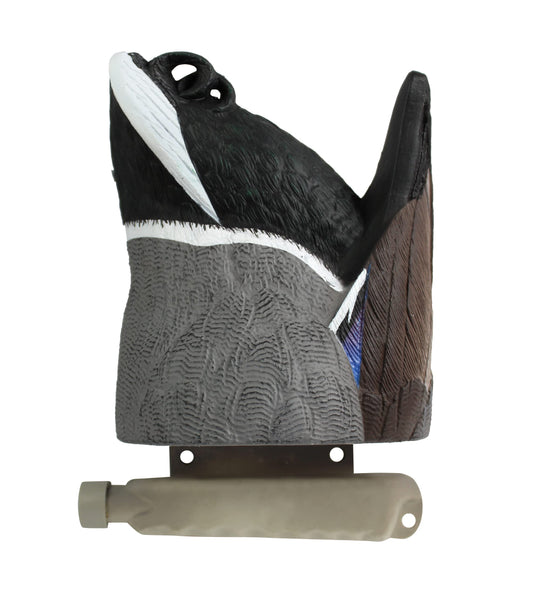 Cupped Waterfowl Feeder Butt Drake Decoy, Premium Quality Duck Butt-Up Floater Decoy with Weighted Keel and Lifelike Color Design