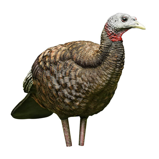 Avian-X Breeder Lifelike Collapsible Decoy LCD Folding Hen Turkey Hunting Decoy w/ 24 Inch Stake, No Flake Lifelike Paint Detailing, and Carrying Case